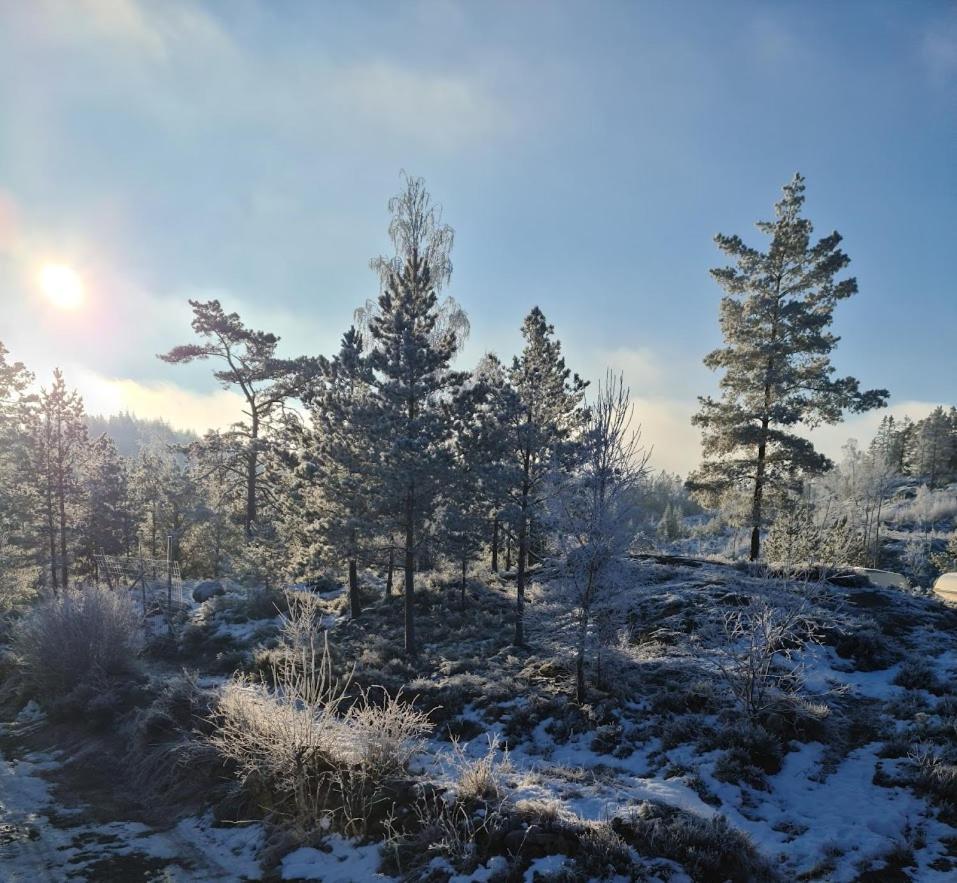 Lillesjoe Stuguthyrning * Backefors