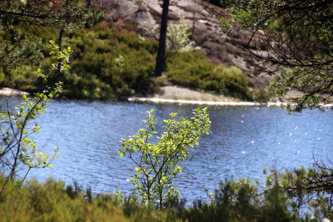 Ferienhaus Lillesjoe Stuguthyrning Backefors
