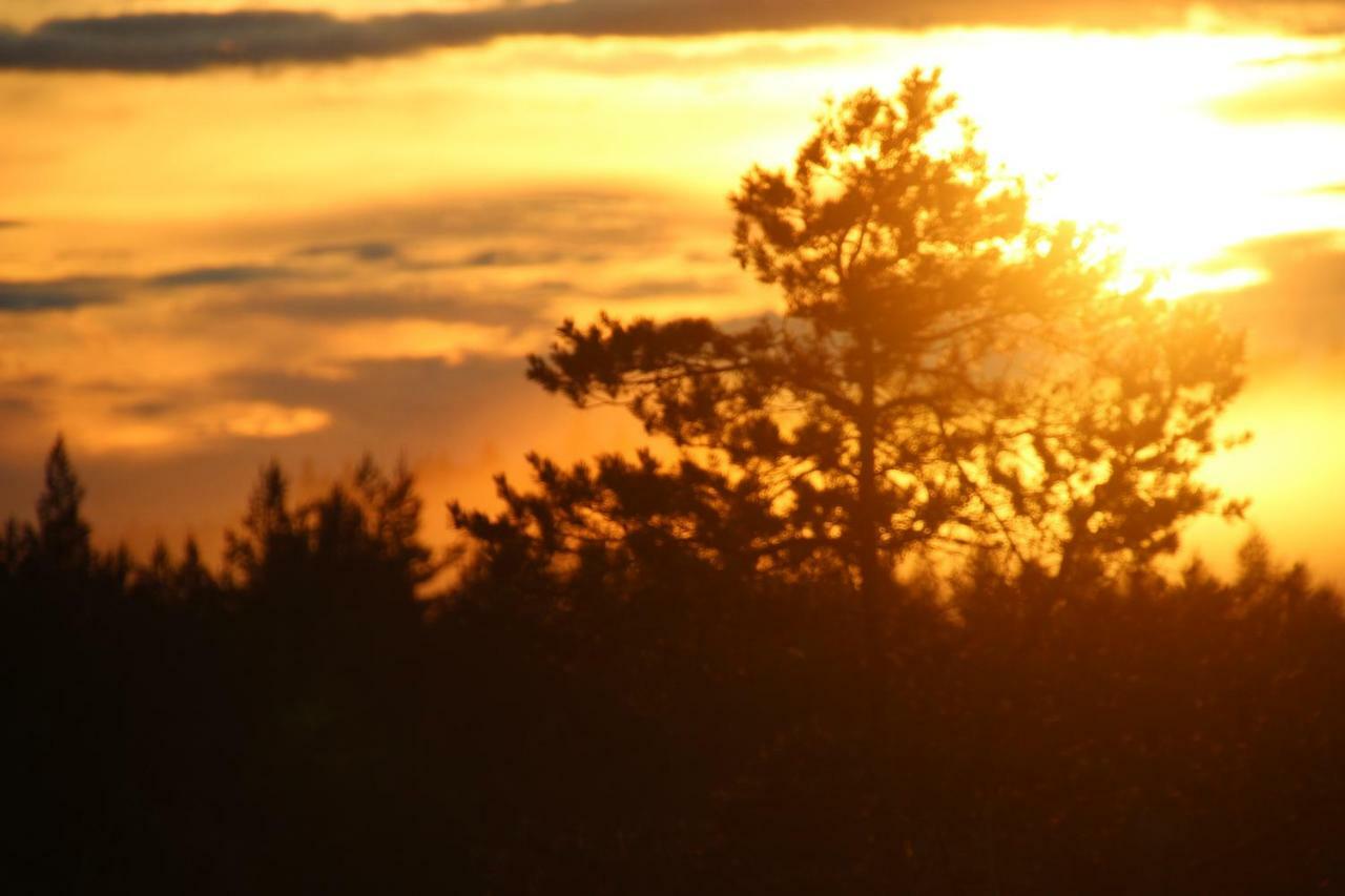 Ferienhaus Lillesjoe Stuguthyrning Backefors